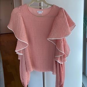 Club Monaco Blush Blouse